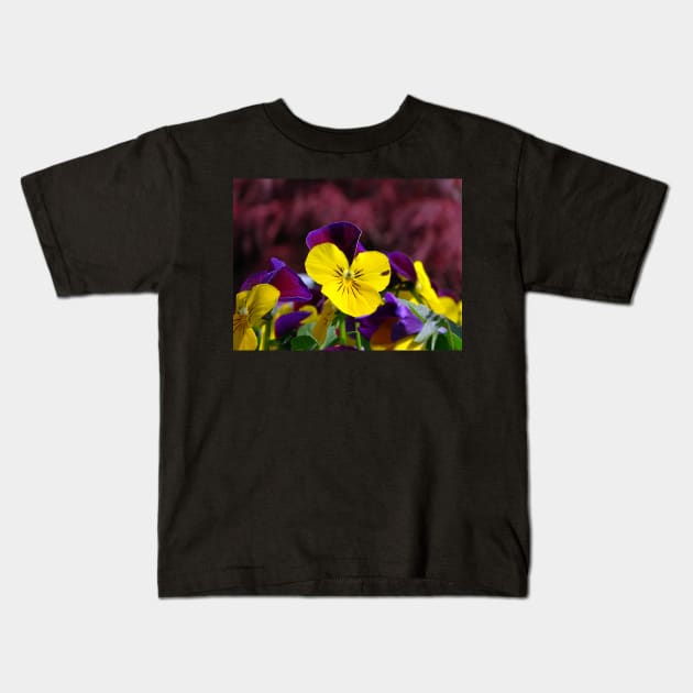 Viola Tricolor Kids T-Shirt by AH64D